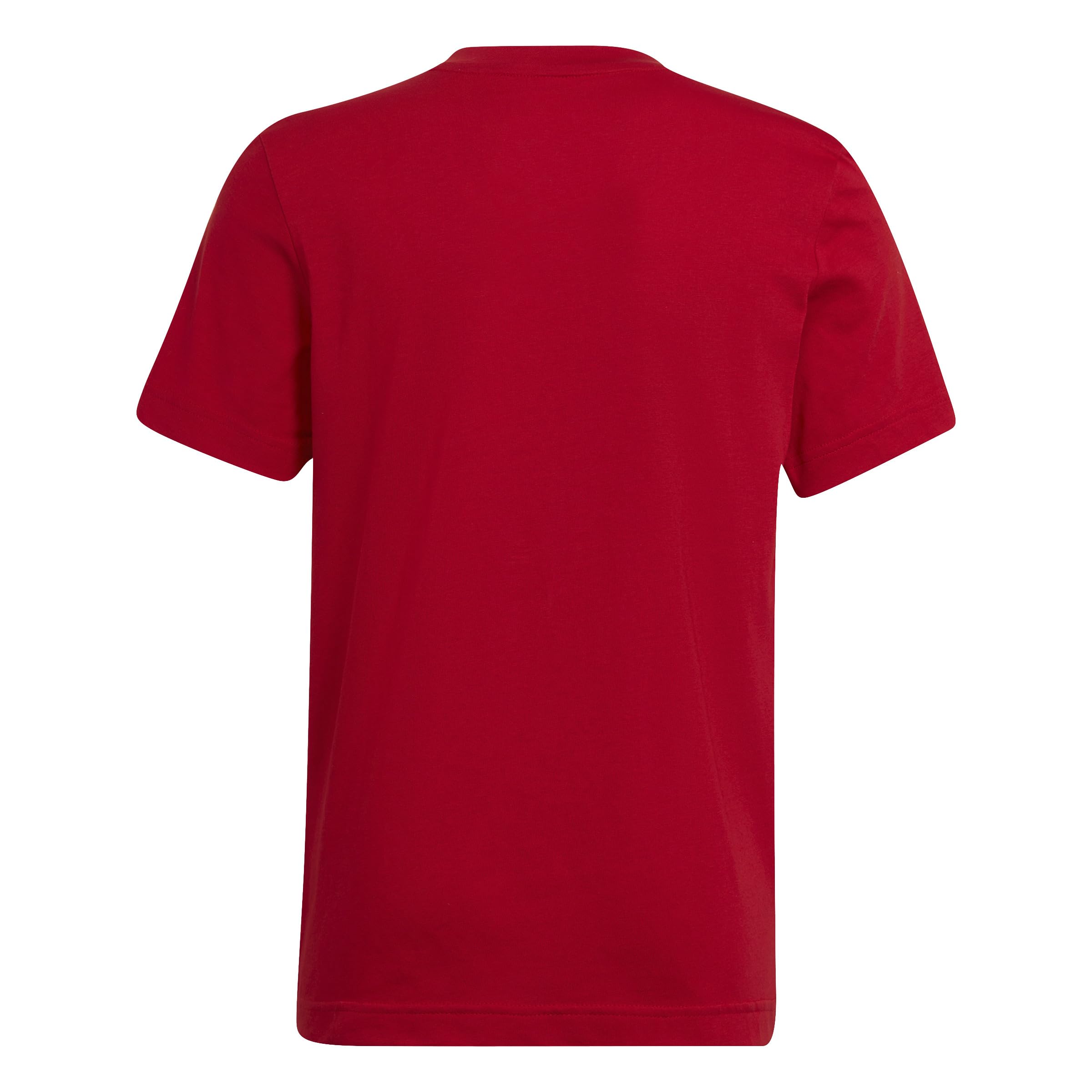 adidas Uniseks - dzieci Entrada 22 Tee, Team Power Red 2, 11-12 Years