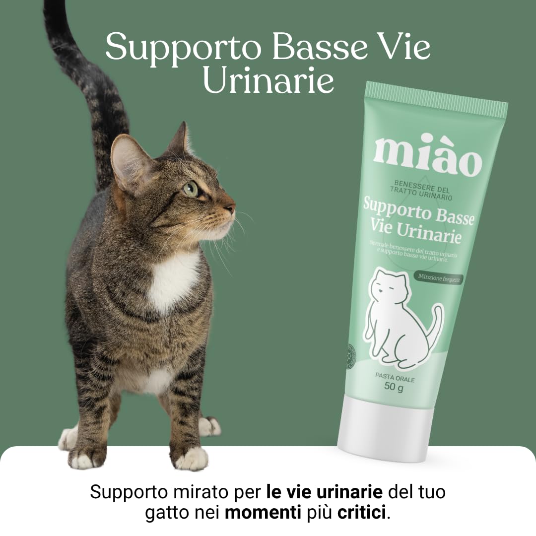 Miào Supporto Basse Vie Urinarie Gatto Pasta – Aiuto per Cistite, Minzione Frequente, Stimolo Continuo, Benessere Vescica, Facile Somministrazione