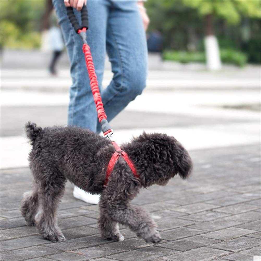 Correas Largas para Adiestramiento De Perros Correa Larga para Perros Correa De Adiestramiento para Perros Correa De Adiestramiento para Perros Correa Acolchada para Perros Correa para Perros Azul
