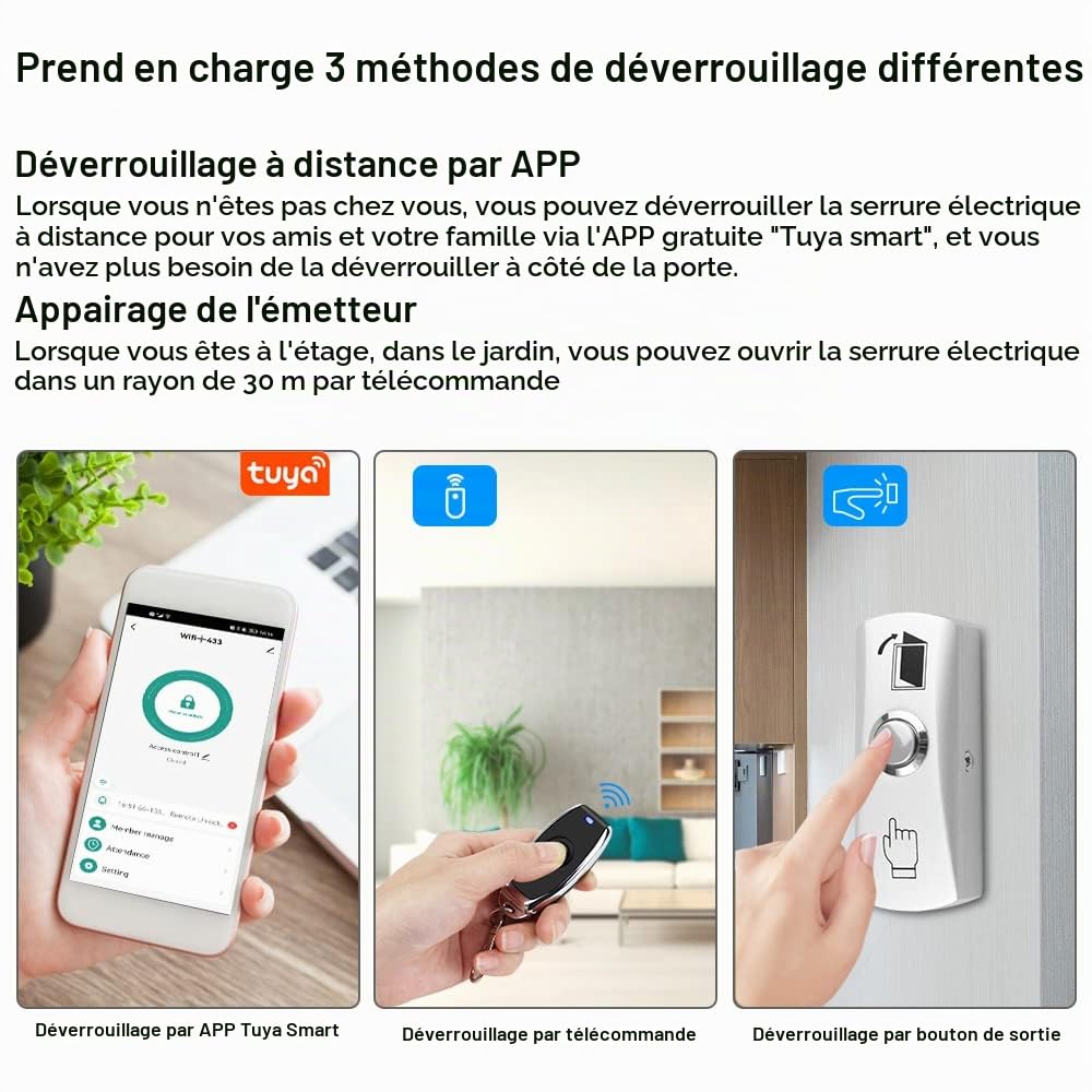 Kit de système de contrôle d'accès Smart APP, avec télécommandes/Serrure magnétique 280 kg/Adaptateur d'alimentation DC 12V, Temps de Retard de Verrouillage réglable