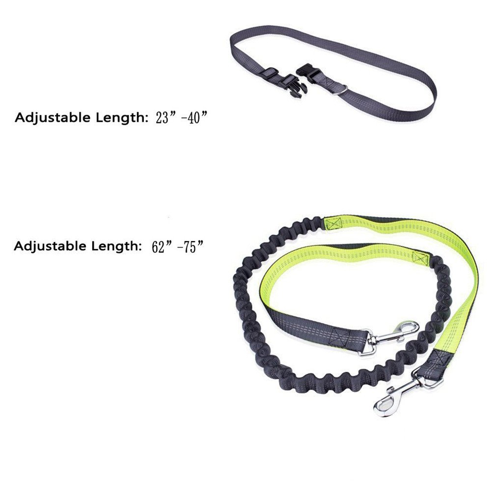 Peting Multi Function Hands Free Nylon Hundeleine mit reflektierenden Bungee Bundled mit Hund Abfall Dispenser und Taschen Perfekt für Laufen, Walking, Training