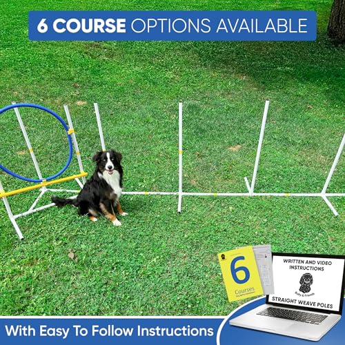 Ruby & Friends Dog Agility Course Backyard Set: Create 6 Sturdy Dog Agility Courses With Our Dog Agility Equipment thumb #1