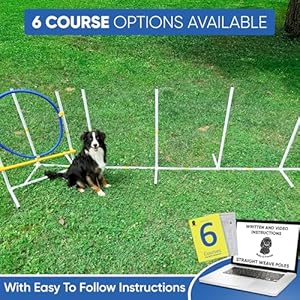 Dog Agility Course Backyard Set: Create 6 Sturdy Obstacle Courses with our Dog Agility Equipment, Including Weave Poles, Ring Jumps and Hurdles for Training with this Obstacle Course for Dogs Dog Agility Course Backyard Set Create 6 Sturdy Obstacle Courses with our Dog Agility Equipment Including Weave Poles Ring Jumps and Hurdles for Training with this Obstacle Course for Dogs