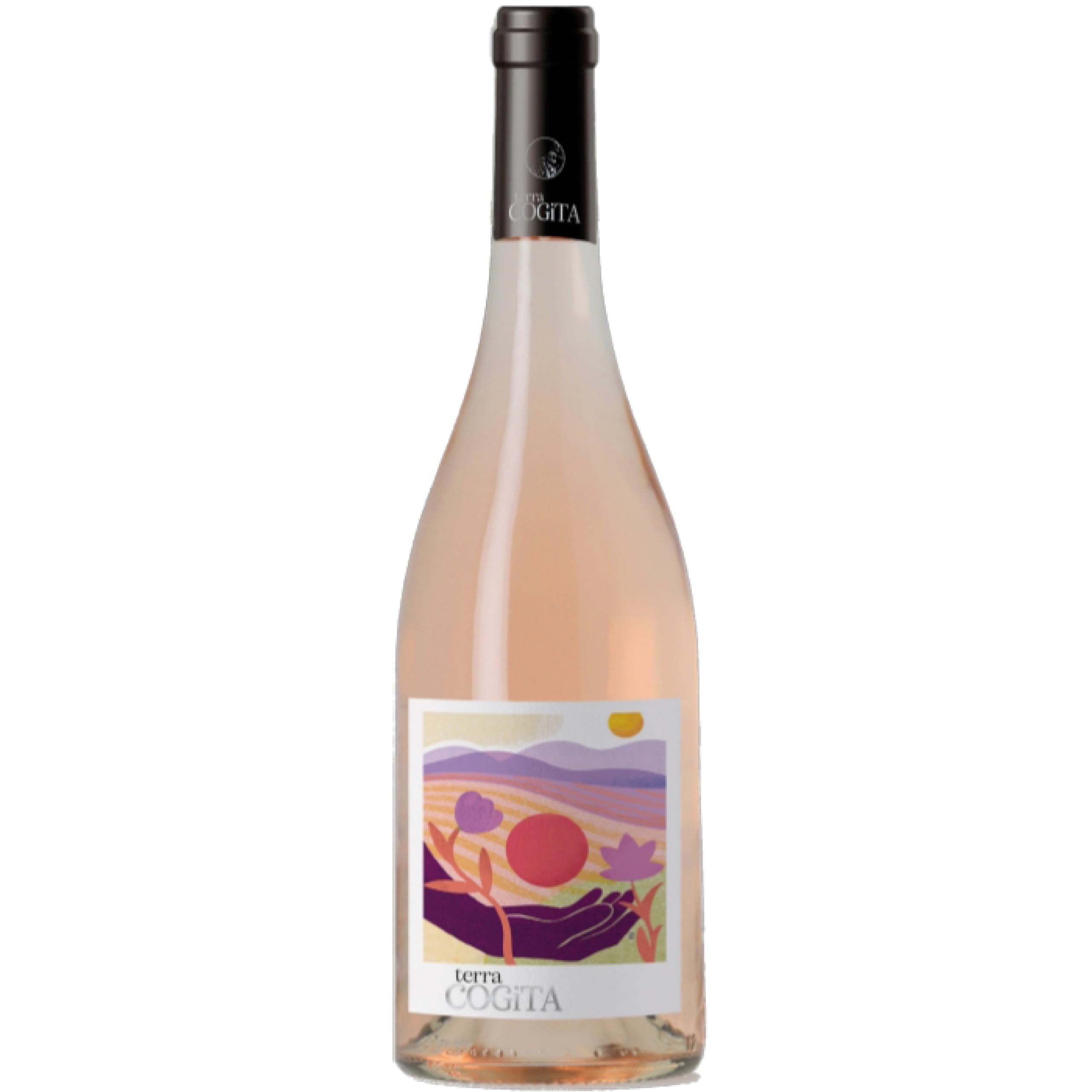 Les Domaines Robert Vic Terra Cogita Cabernet Cortis Rosé Wine, Vin de France Languedoc Origin, 75cl – Juicy Citrus & Crushed Berry Notes – Serve chilled 8–10°C with Prawns or Lamb