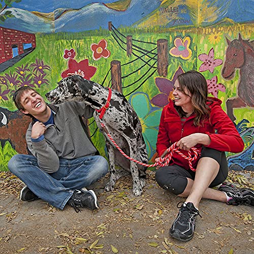 Mendota Pet Schnappleine, Lila, 0,95 cm x 1,8 m