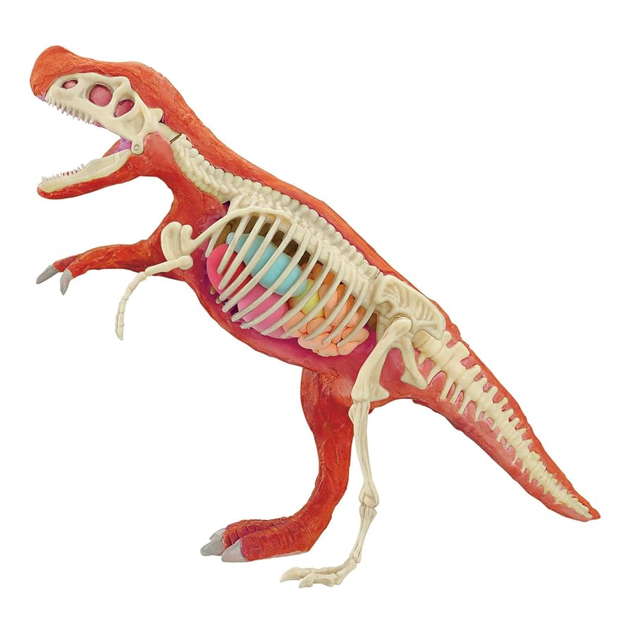 Amazon | アーテック 化石発掘復元キット ティラノサウルス