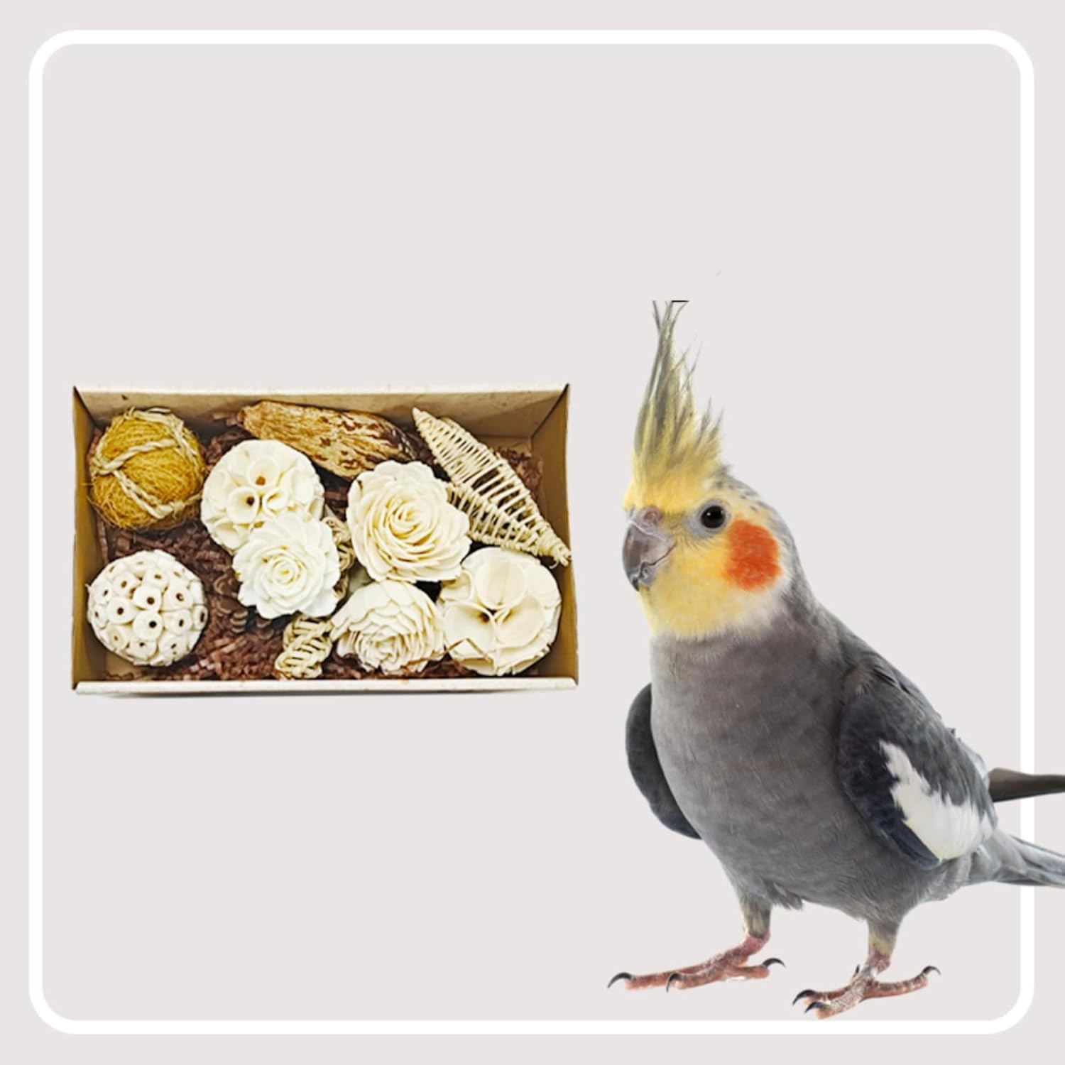 Bird Toys Bird Foraging Shredding Chewing Parrot Foraging Shredding Toys Chewing Toy Birdcage Accessories for Conures Caiques Cockatiel Budgies Parakeet and Small to Medium Birds - image 8