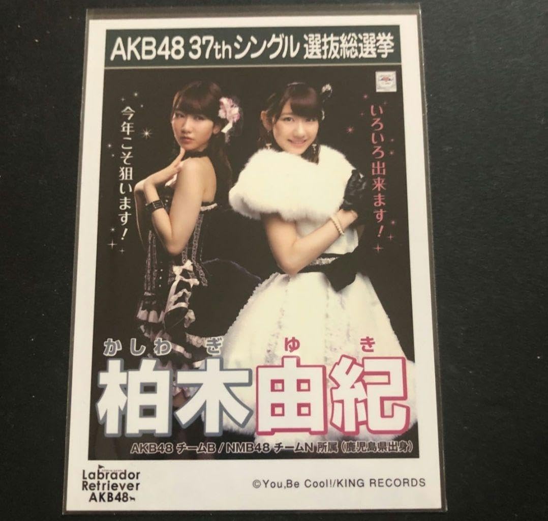 Amazon.co.jp: 同梱おまとめ可AKB48 生写真 柏木由紀 ラブラドール 