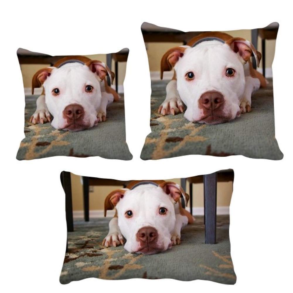 Housse de coussin bouledogue blanc pour décorer le canapé du salon moderne