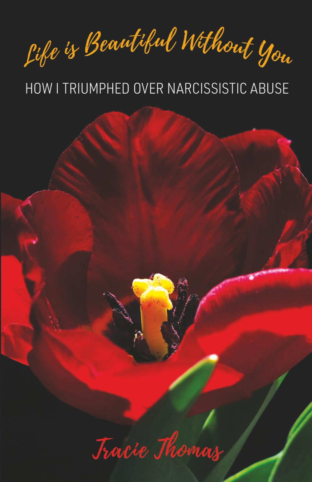Life Is Beautiful Without You: How I triumphed over narcissistic abuse