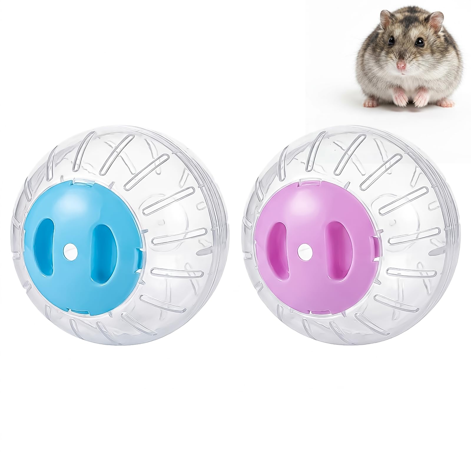 BeiZha 2 Pcs Dwarf Hamster Exercise Ball 11.98cm Transparent Plastic for Gerbils and Small Pets