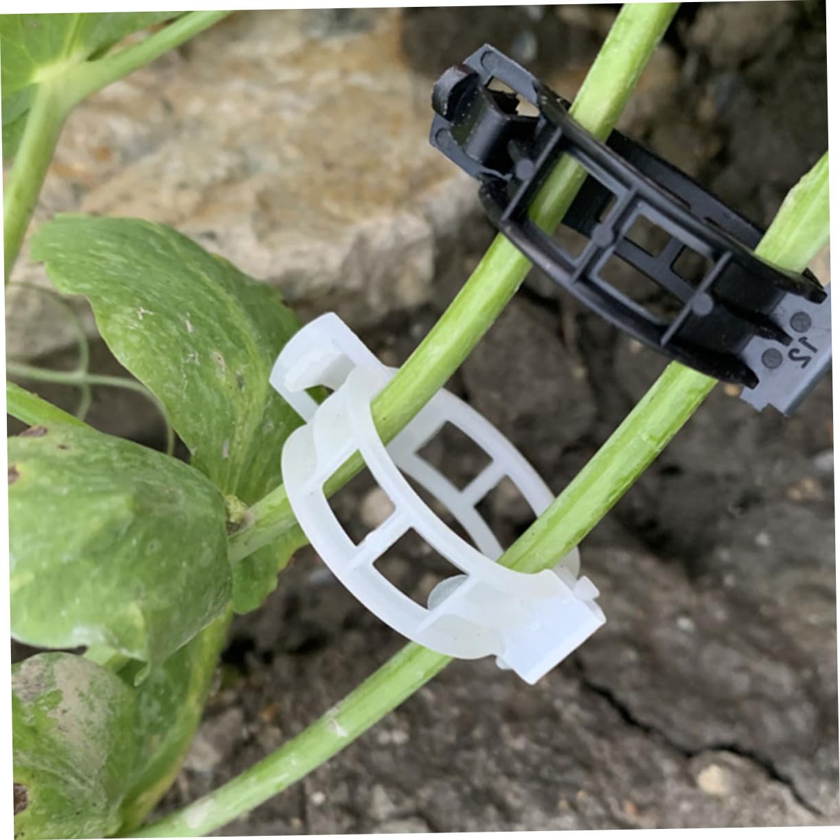 BESTonZON 400stücke Pflanzenclips Für Garten Schwarze Trellis-Clips Unterstützung Von Kletterpflanzen Tomaten Und Blumen Wiederverwendbar Robust Und Wetterfest