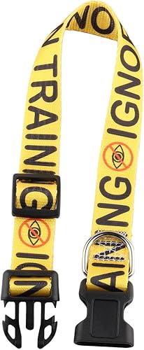 Miniatura 5 de VAMSII Collar de entrenamiento para perros - IN TRAINING IGNORE - Ajustable (hasta 18.5 in18.29 pulgadas) - Amarillo - Poliéster - Unisex - Perro -