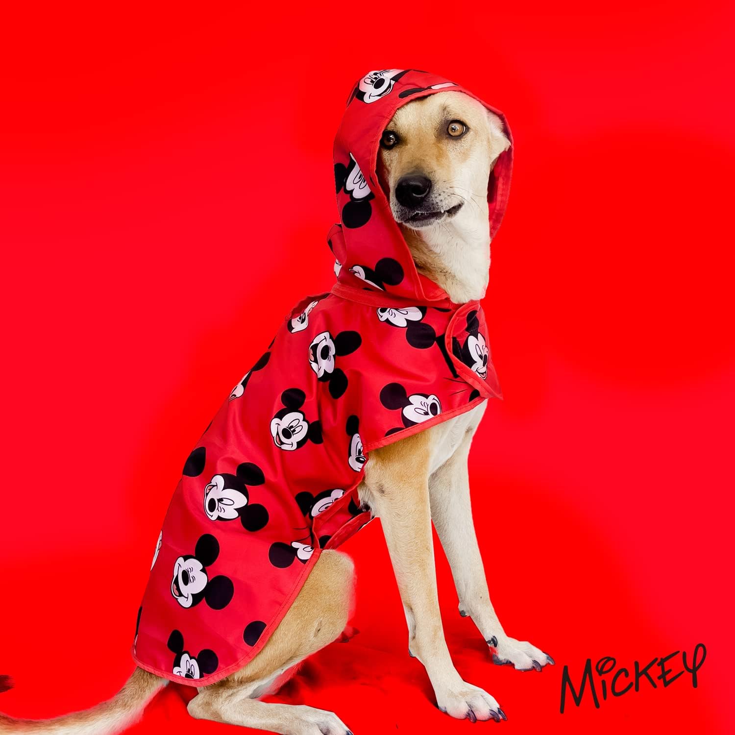 Disney X That Dog In Tuxedo Dog Raincoat -Double Layered/Water Resistant/Easy to wear (Mickey Mouse, 22) (B0BYHSCNK9) Amazon Price History, Amazon Price Tracker
