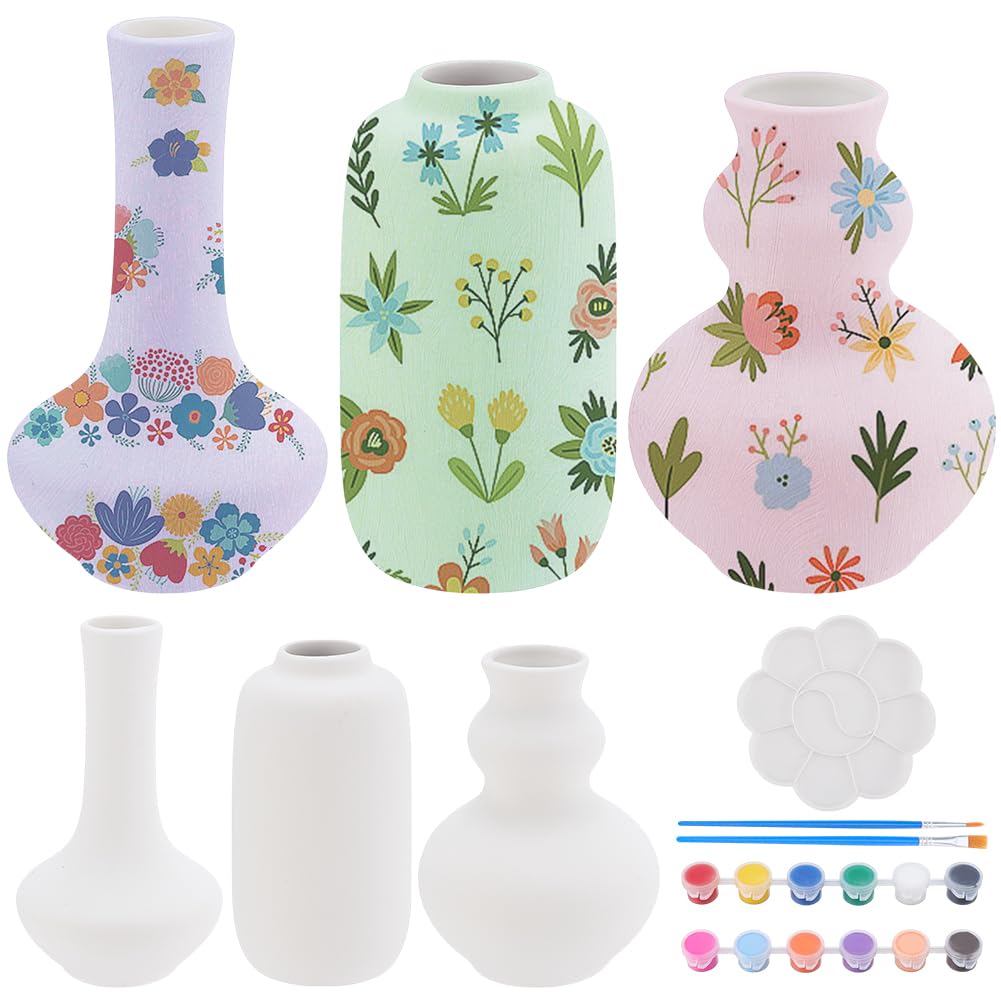 WEBEEDY 3 juegos de jarrón de bricolaje kit de pintura de cerámica para adultos principiantes, jarrón de bricolaje arte y artesanía de cerámica para pintar, pintar tus propias ollas de cerámica para