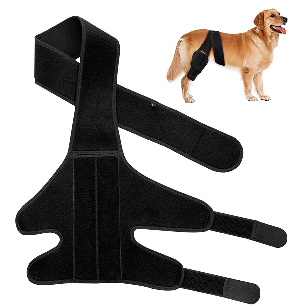SGZIOO Dog Knee Brace for Hind Leg, Dog Leg Protectors for Torn ACL Front Leg, Keeps Joints Warm and Stable, Elbow & Back Leg Support, Cruciate Ligament Support for Injured Elderly Dogs (M)