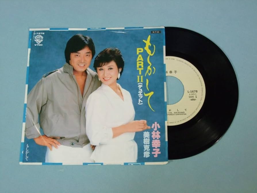 小林幸子さんレコード EPレコード 小林幸子 ウソツキ鴎 2枚セット - メルカリ