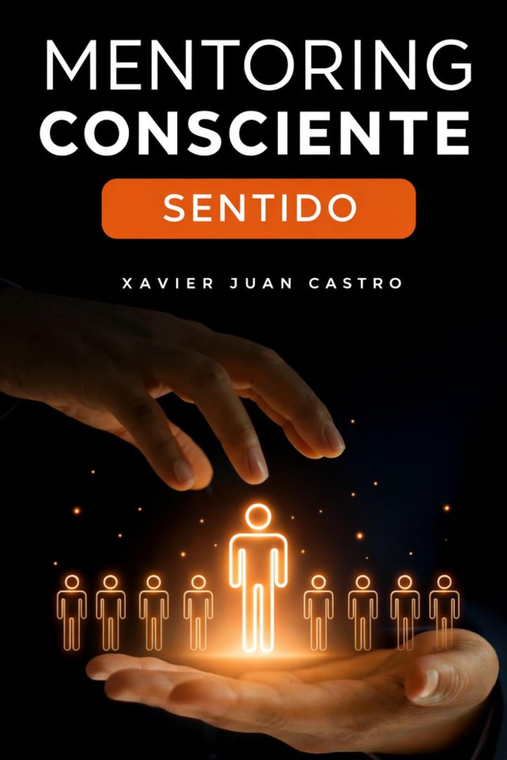 Mentoring Consciente: Sentido.: Una experiencia vivida