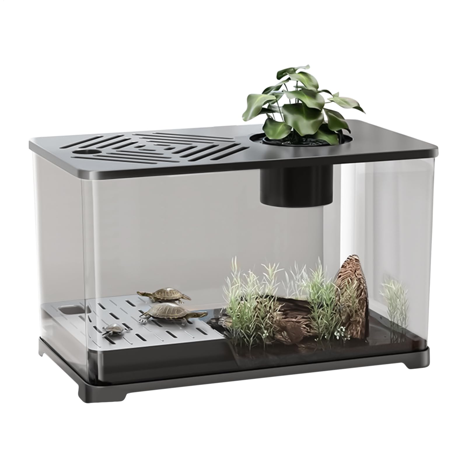 Acuario Acuario Grande Kit Completo de Escritorio | Contenedor Moderno con Zona para Tortugas, Accesorios para Peces Betta y Camarones con Plantas Acuáticas