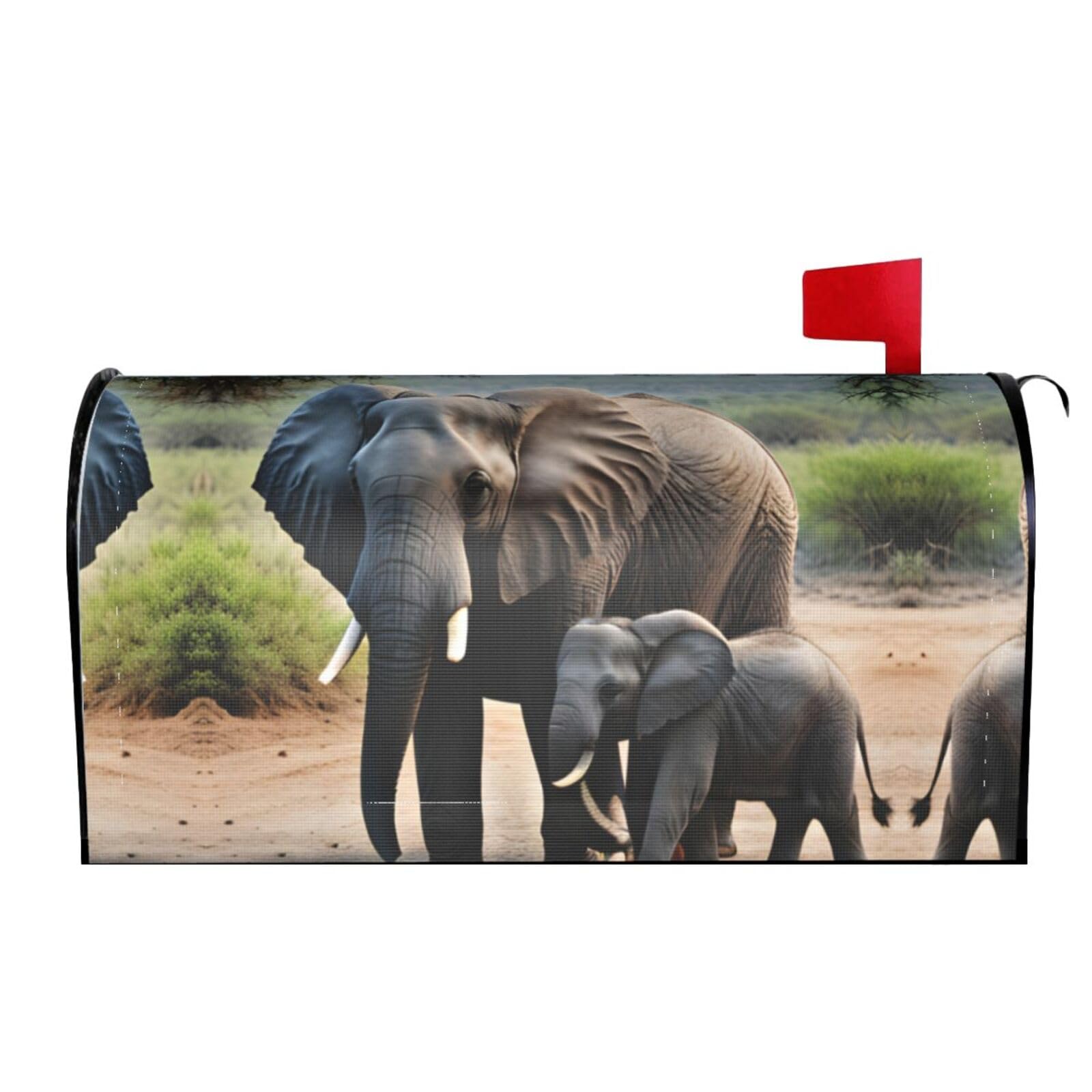 ELEPHANT 2冊 Zuny | Official Website | Proudct