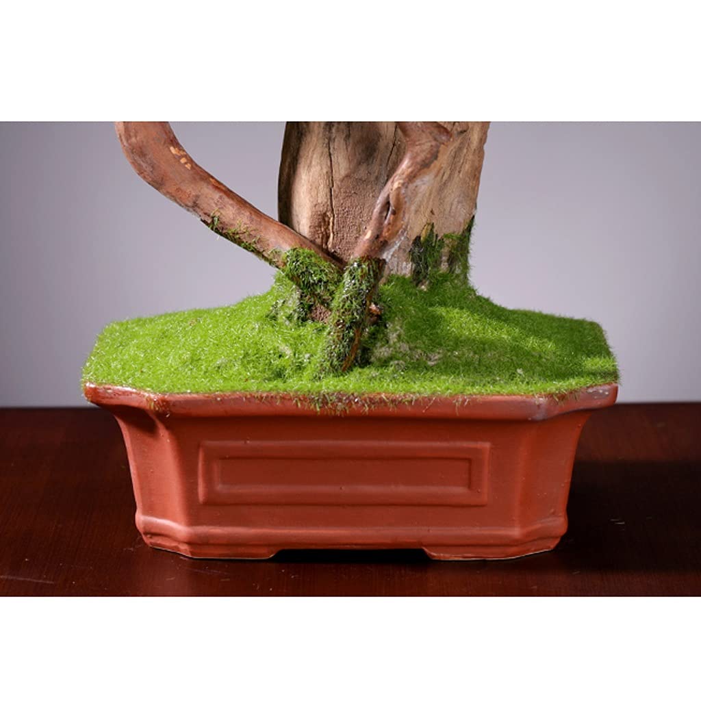 Sztuczne rośliny domowe Sztuczne rośliny Witamy Sosna Bonsai Fałszywe Zielone Rośliny Wnętrze Dekoracji Kreatywny Salon Doniczkowy Biurko Dekoracje Ozdoby 19,3 cale Sztuczne rośliny
