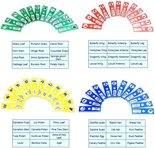 Jiusion 48Pcs Prepared Microscope Slides Specimen Animals Insects Plants Flowers Sample Biological Specimen, Stereo Microscope Slide for Kids Children Students Enlighten Education 2 61rwulte5QL. AC