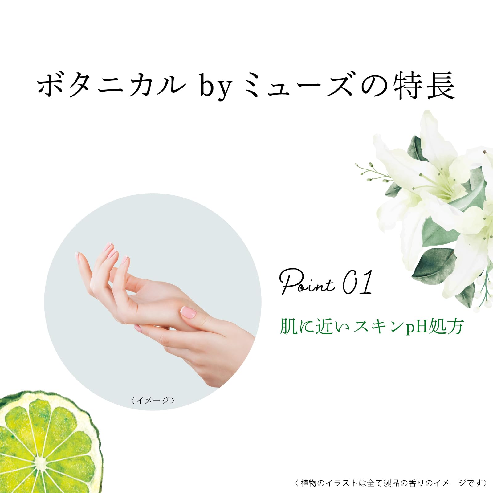 Amazon.co.jp: Muse ミューズ: まとめ買い