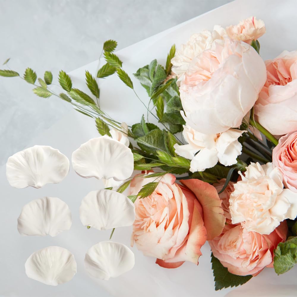 Kaart bloemen met paarse pioenroos | Glaskunst Groningen