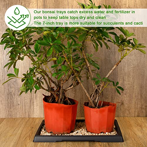 Pinkunn 2 Pack Bonsai Humidity Tray Drip Tray Plastic Plant Water Catcher Tray Plant Saucers For Indoors And Outdoors Cactus, Succulents, Bonsai Tree, Stone Not Included thumb #6