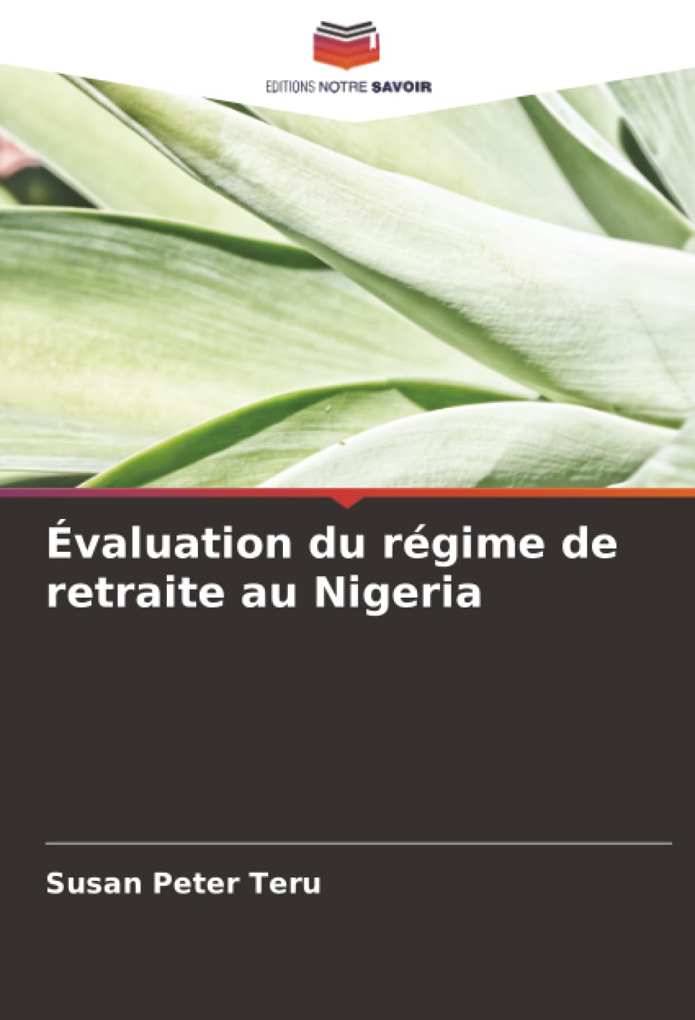 Évaluation du régime de retraite au Nigeria