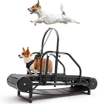 Dog Treadmill for Large Dogs, Medium Dogs with Brake. Dog Slatmill for Healthy & Fit Dog Life, Dog Treadmill for Indoor & Outdoor. Used Indoor Home Up to 300LBS