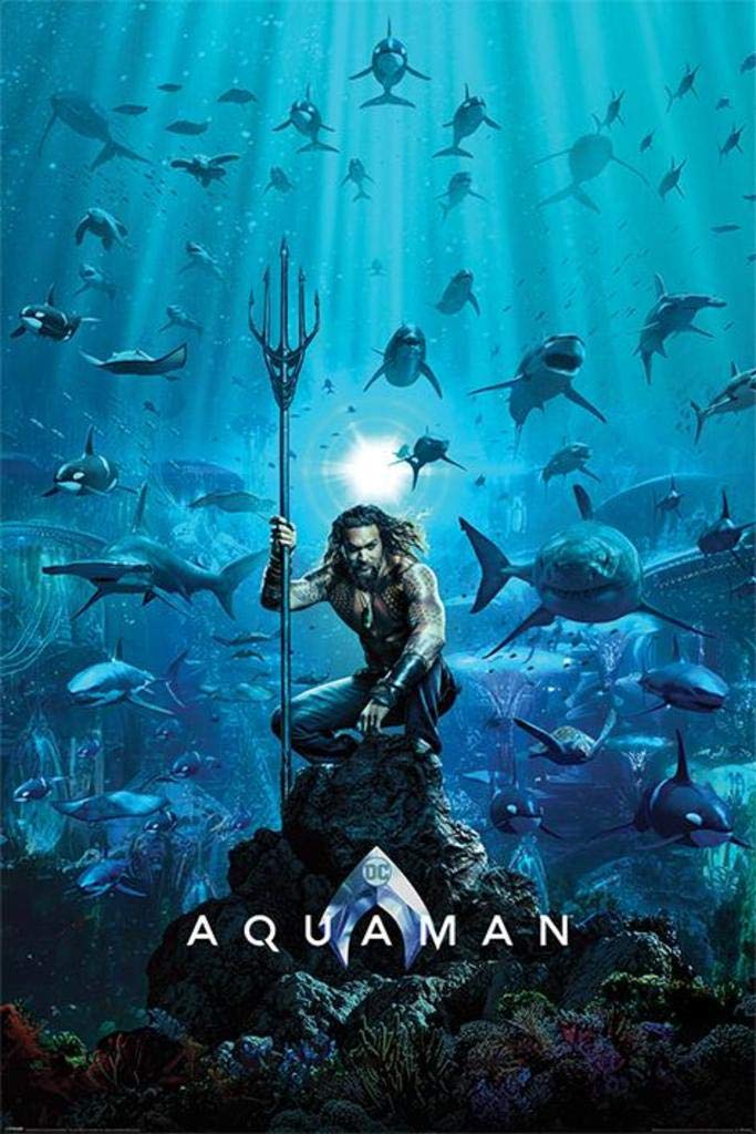 Amazon｜アクアマン - 映画ポスター (ティーザースタイル) (サイズ:24