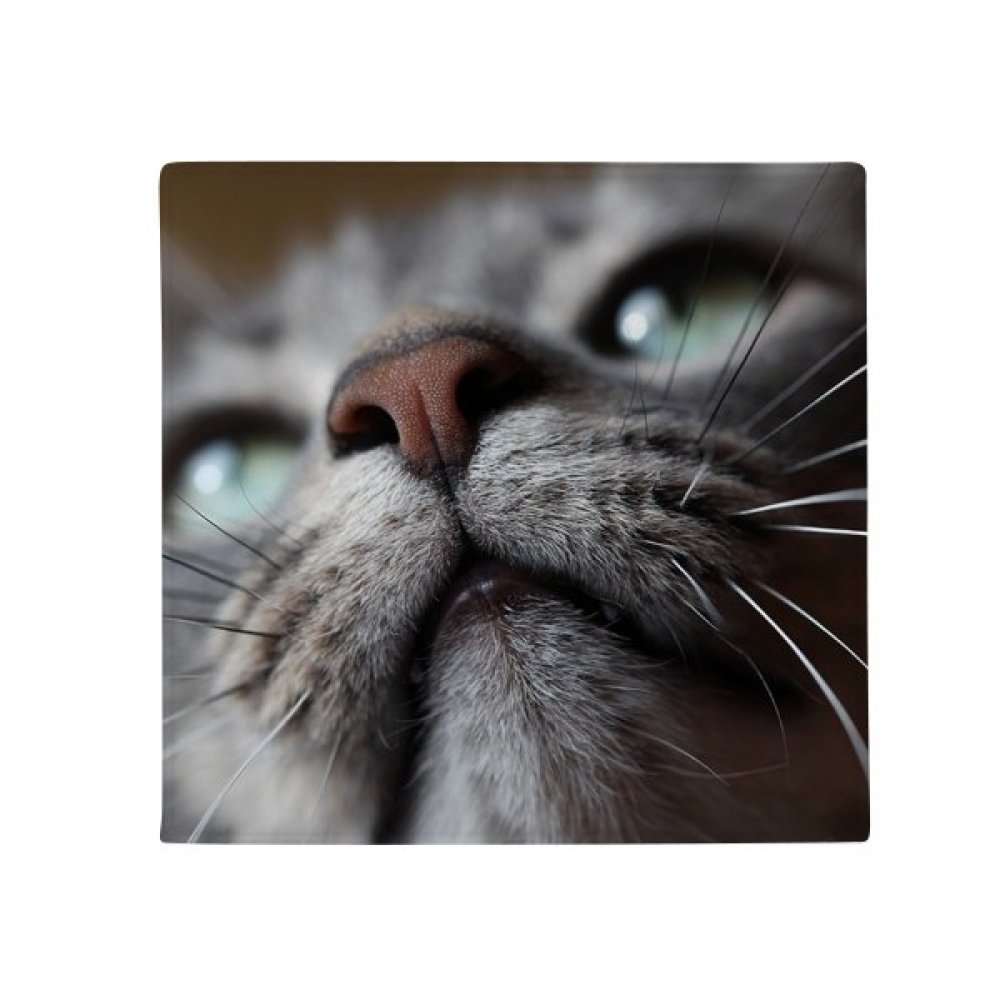 Tapis de sol chat rigolo antidérapant pour cuisine et salon lavable multicolor 50x50cm