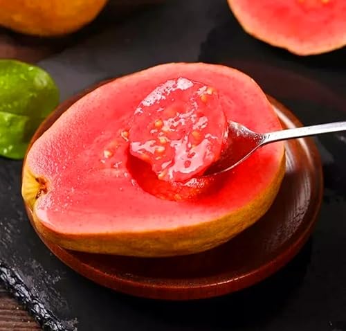 Miniatura 5 de 30 semillas de árbol de guayaba rosa tropical fresa rubí supremo Psidium guajava - Sabores exóticos, hermosas flores PeavyTailor