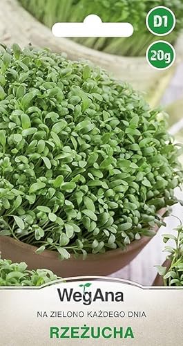 WegAna Garden Cress Seeds 20g, Semillas Germinadas, Semillas de Hortalizas Robustas, Semillas de Hortalizas, Propagación de semillas, Semillas para Invernadero