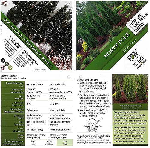 Live Plant From Green Promise Farms Thuja Occidentalis 'North Pole' (Arborvitae) Evergreen, 3-Size Container, Green Foliage #TOP2