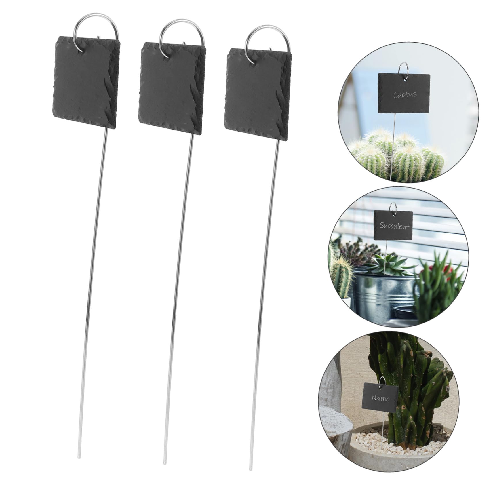BESPORTBLE 15pezzi Etichette Giardino Inossidabile Per Piante Marcatori Per Piante Etichette Per Giardino Segni Per Vaso Resistente e Facile Da Scrivere