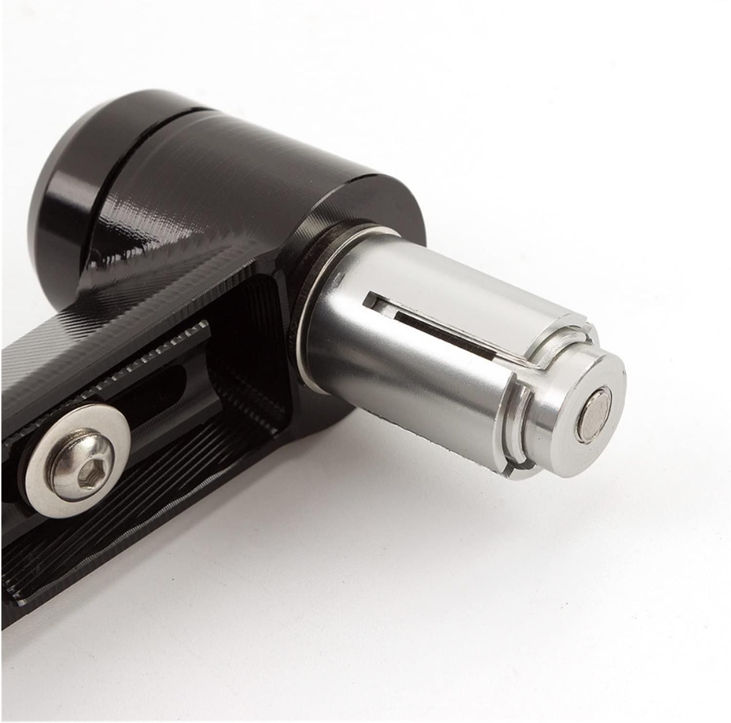 宿根 フランス直輸入 ライラック『カルベティエム』プレジデント