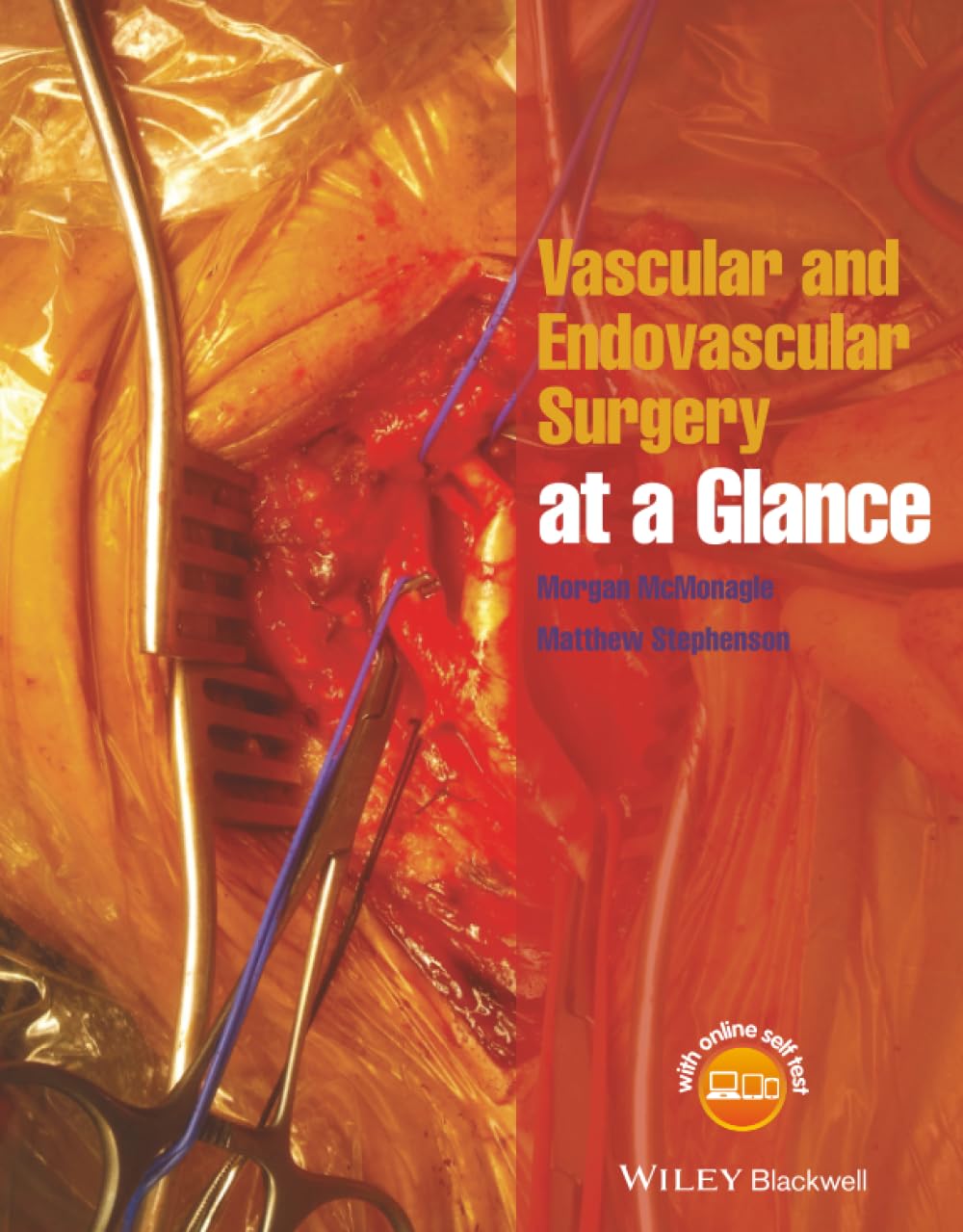 Vascular and Endovascular Surgery at a Glance