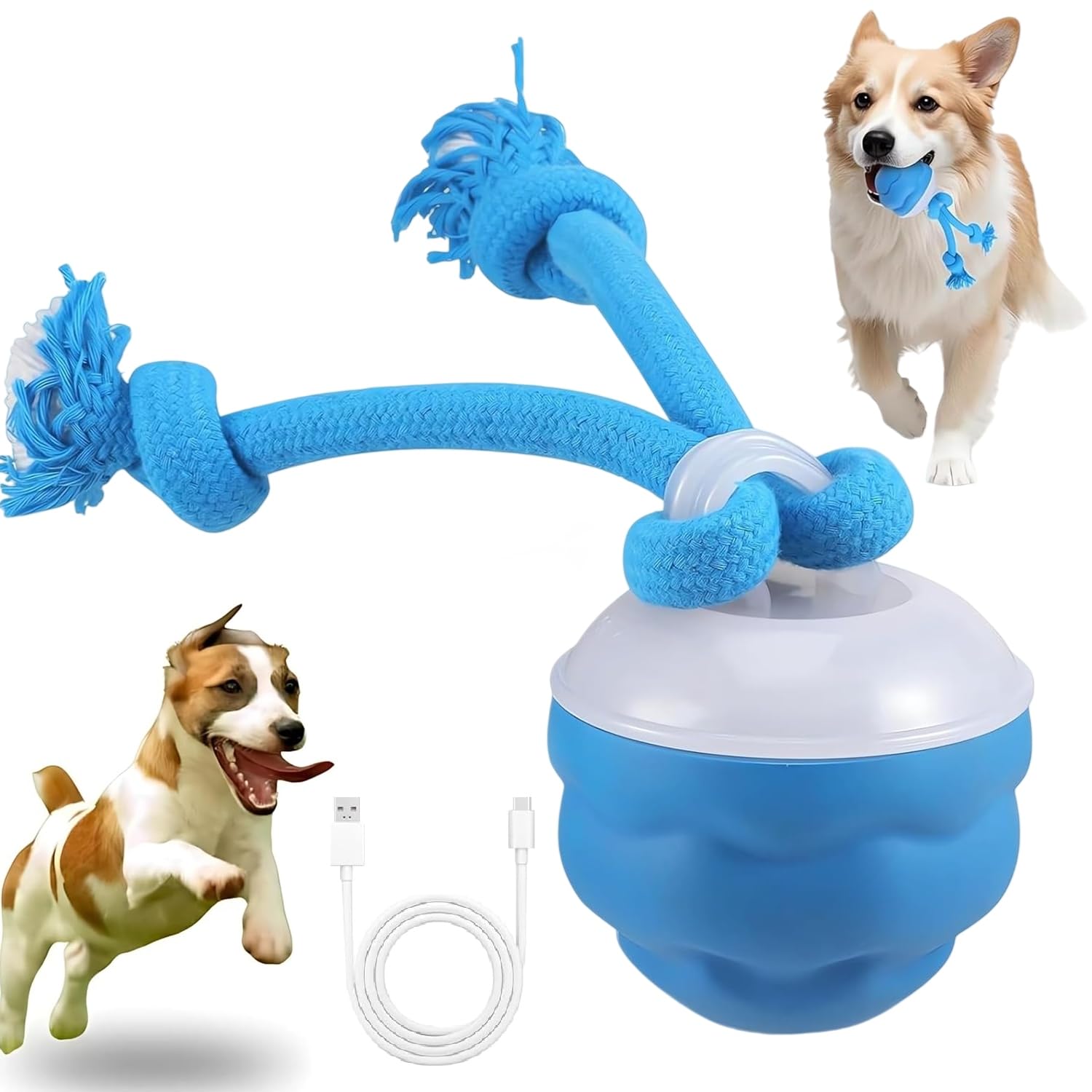 CoyCriter Interactive Dog Toys, Chase Buddy Dog Toy, Interactive Dog Ball for Medium/Large Dogs, Automatic Moving Dogs Toy Wicked Ball for Boredom & Training for All Dogs