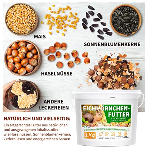 Eichhörnchen Futter D&O Nature Products 1Kg für artgerechte Ernährung