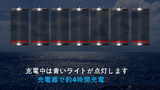 Dyson V11 Absolute Pro 掃除機 バッテリー良好 美品 Amazon.co.jp