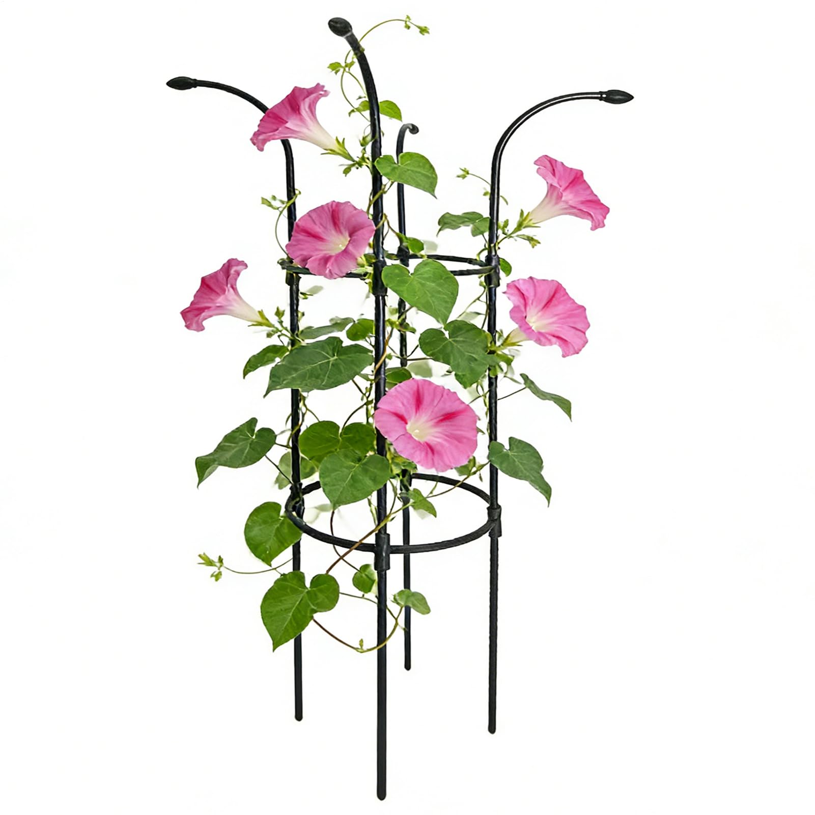 Treillis parapluie stable en métal noir pour plantes grimpantes et rosiers