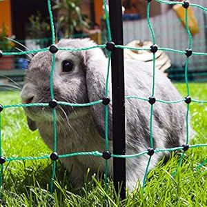 Kerbl 292216 Konijnennet 25 M, 65 cm Enkele Punt, Groen