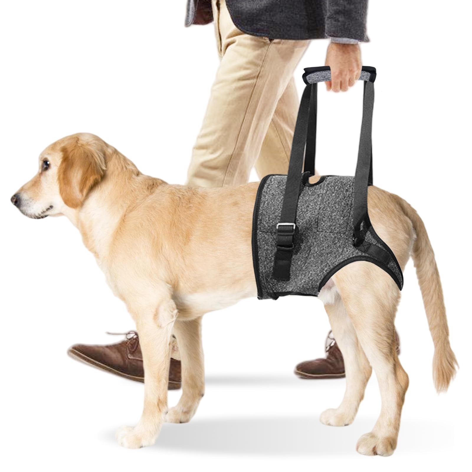 Imbracatura per Cani per Zampe Posteriori, Pettorina Di Supporto Posteriore Con Impugnatura, Imbracatura Cane Zampe Posteriori, Pettorina Morbida Regolabile per Feriti Di Piccola, Media Grande (M)