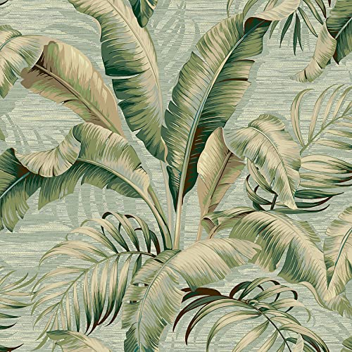 Image of Tommy Bahama Palmiers Tropical Palm Peel and Stick Wallpaper, (Seamist)