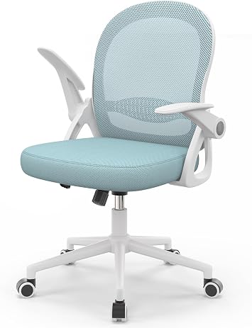 naspaluro Home Office Chair Ergonomic Desk Chair - Blue