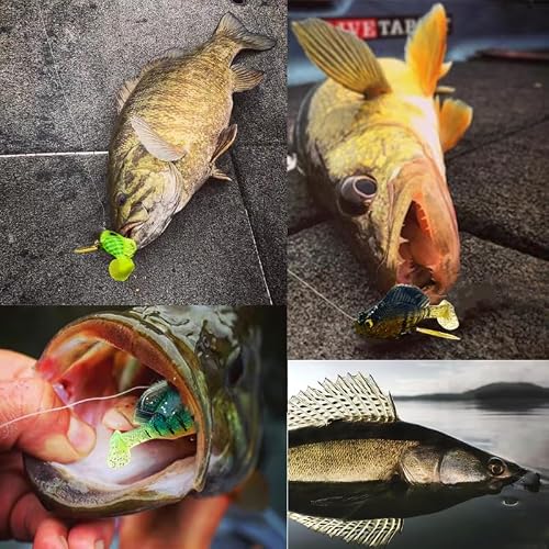 DAMIDEL 6Pcs Pre-Rigged Jig Head Soft Fishing Lures，Paddle Tail Swimbaits/3D Eyes/Spinner Blades for Bass Fishing,Hidden Ultra-Sharp Hook in The top fin,Fishing Bait for Freshwater Saltwater - Thumbnail 5