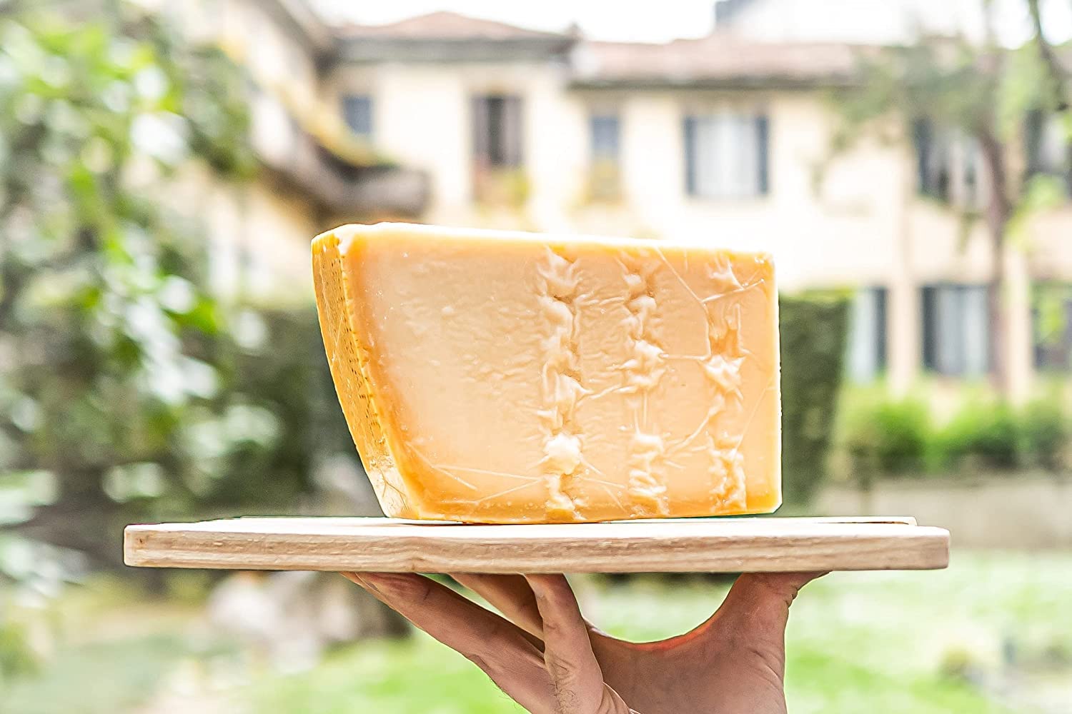 La Grande Bottega Italiana - Parmigiano Reggiano DOP, Parmesankäse 24 Monate gereift, von noblen Kühen, vakuumverpackt, 1kg (ohne Gentechnik)
