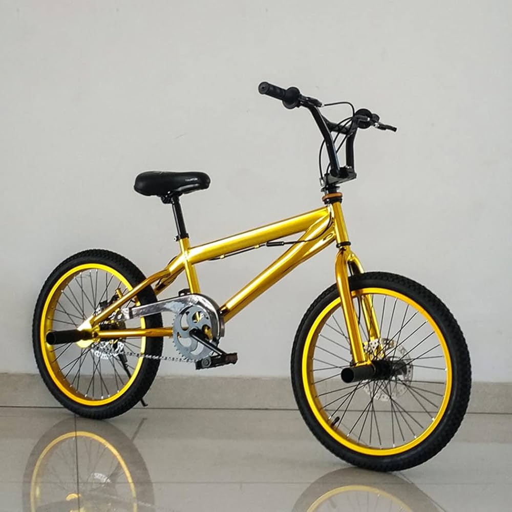 Amazon | ORDlBMX BMX自転車20インチ、Street BMX スタントアクション